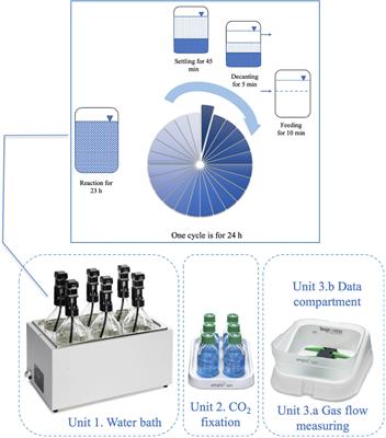 Bioaugmented Mixed Culture by Clostridium aceticum to Manipulate Volatile Fatty Acids Composition From the Fermentation of Cheese Production Wastewater